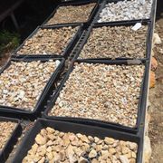 Nature S Best Nursery 27 Photos 17 Reviews Nurseries Photo Of Nature S Best Nursery Camarillo Ca United States