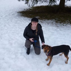 columbia rottweilers glacier bark kennels pet sitting 636 kelley rd columbia falls mt united states columbia rottweilers glacier bark kennels pet sitting 636 kelley rd columbia falls mt united states