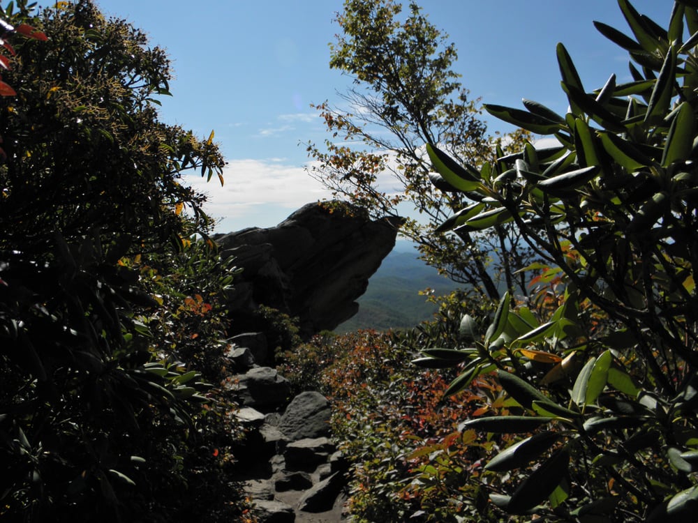 Tanawha trail 17 Photos Hiking Blue Ridge Pkwy, Blowing Rock, NC