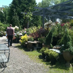 Johnson S Nursery Nurseries Gardening 11753 Tree Rd East Photo Of Johnson S Nursery East Aurora Ny United States A Small Portion