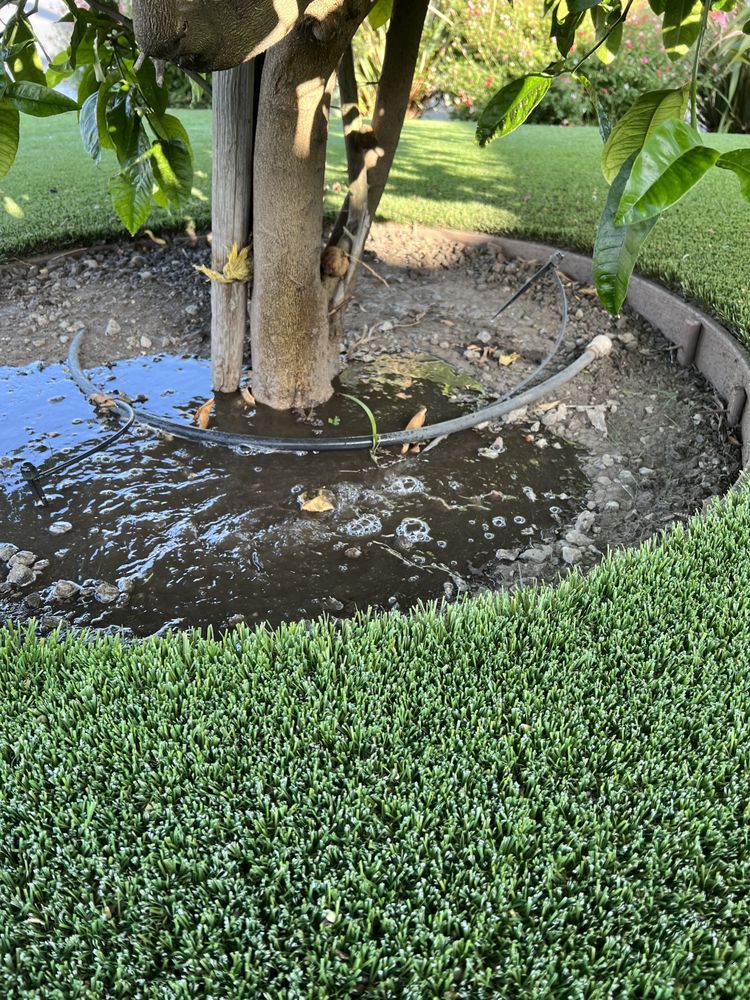 Isael and amys landscaping