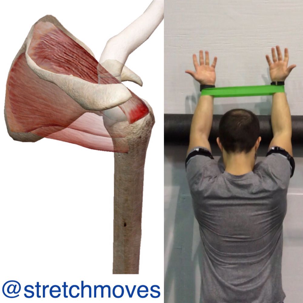Stretch Moves Holistic Wellness
