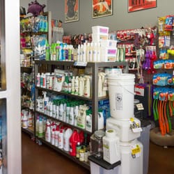 rock dog and cat 38 photos 141 reviews pet stores rock dog and cat 38 photos 141 reviews pet stores