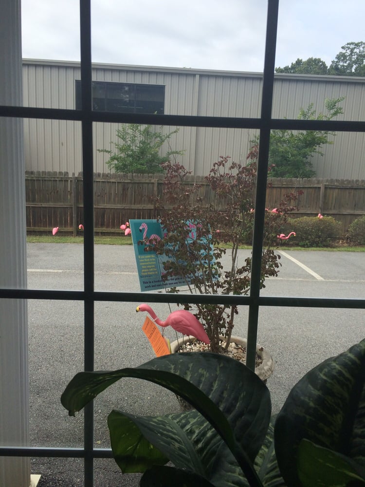 image of business Denny James W DMD