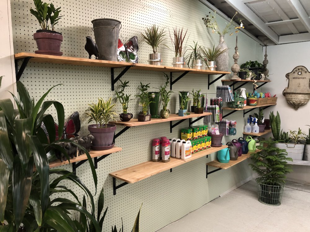 Kent East Hill Nursery 48 Photos & 15 Reviews Nurseries & Gardening