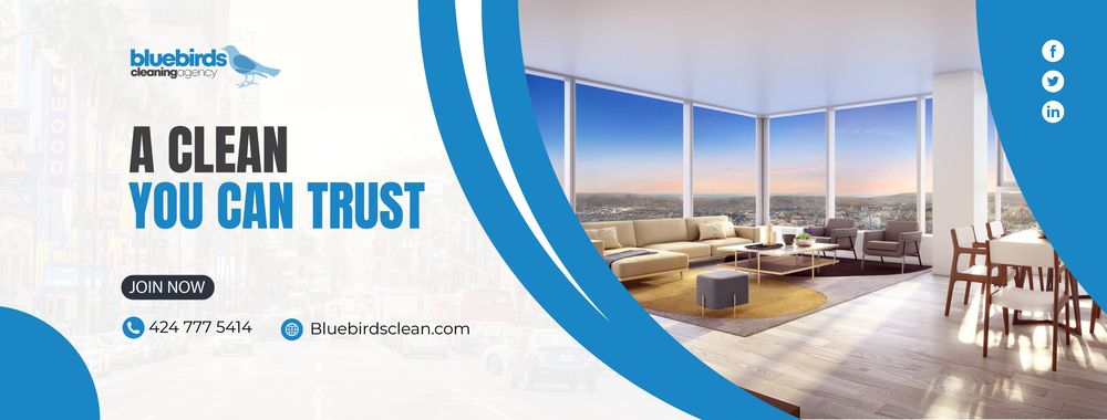 Blue Birds Cleaning Agency