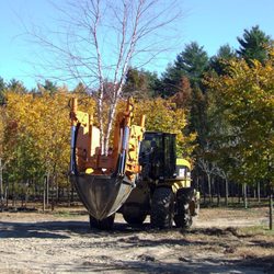Central Nurseries Tree Farm Whole Distrubution Center Get Photo Of Central Nurseries Tree Farm Whole Distrubution Center Chepachet Ri United