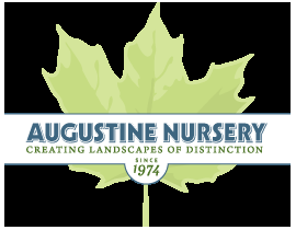 Augustine Nursery