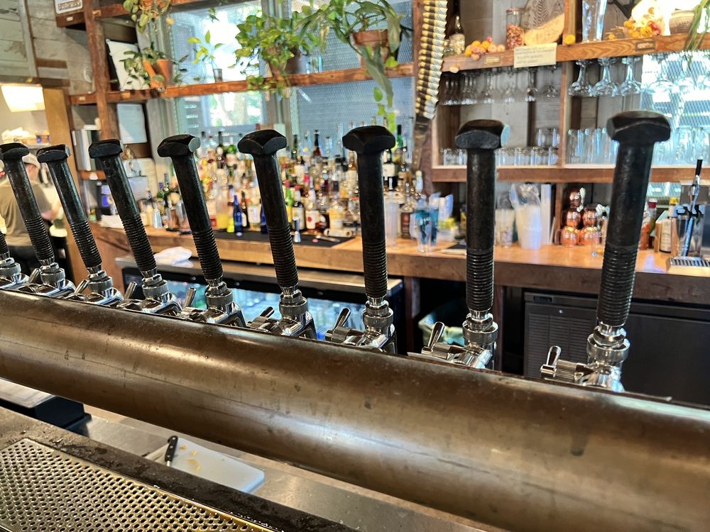 Burial Beer-Forestry Camp