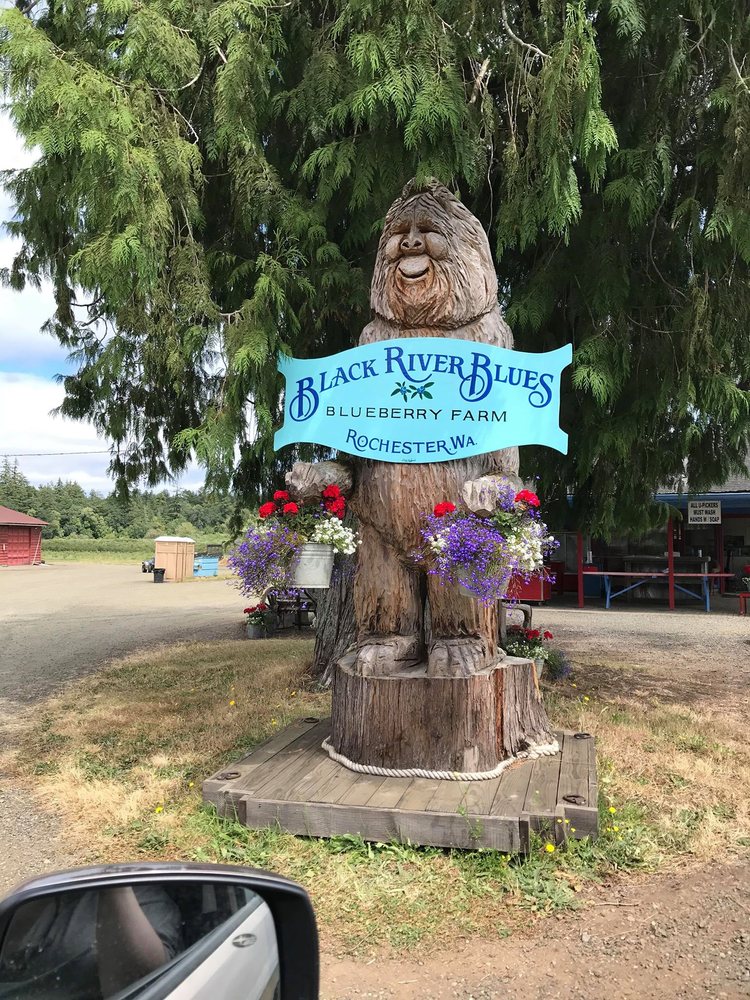 Black River Blues Blueberry Farm