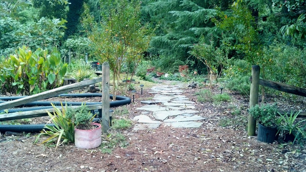 Raven's Wing Healing Center