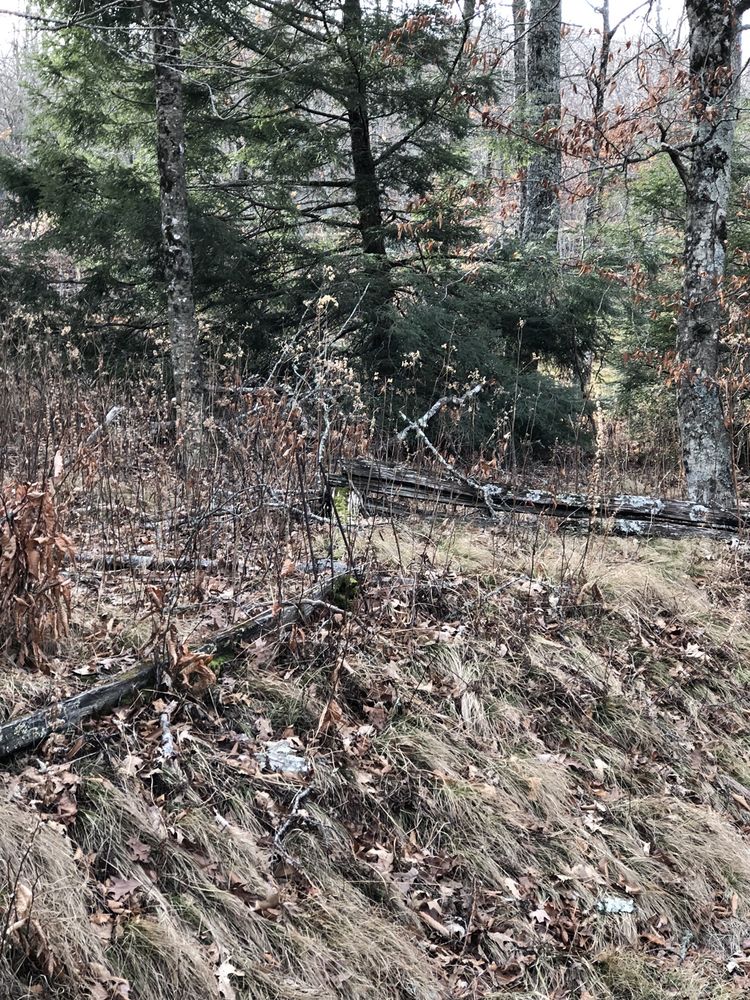 Boone High Country Rentals