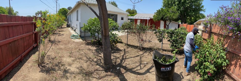 Green House Lawn Care
