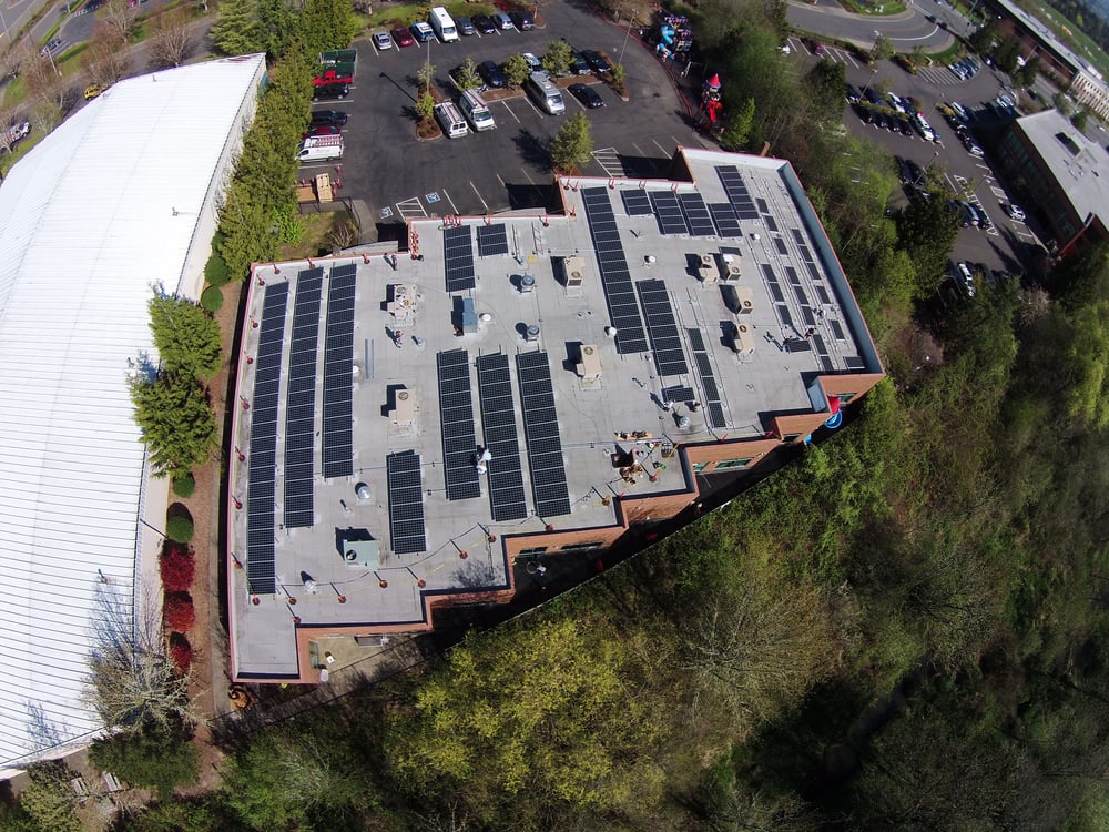 image of business The Doctors Luce