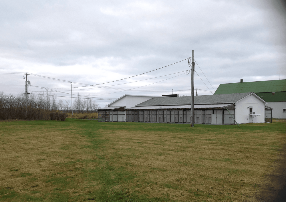 Chenil Monteristo Pension Pour Chiens