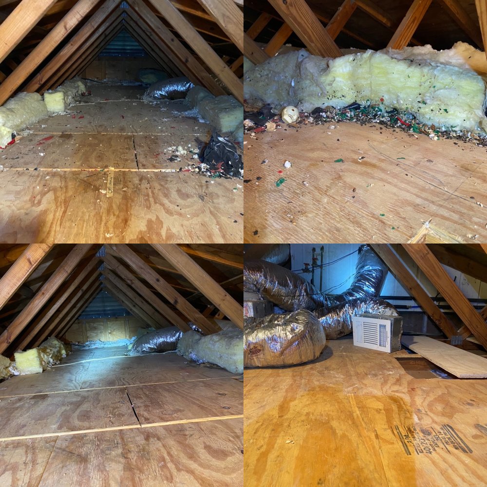 Be Bug Free Services