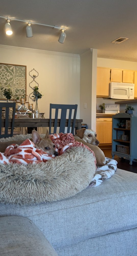 The Greystone Reserve Apartments