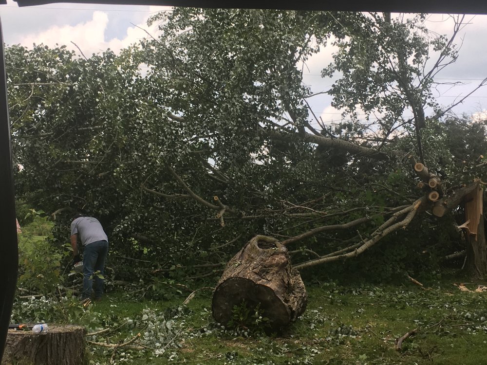 Walker Tree Services