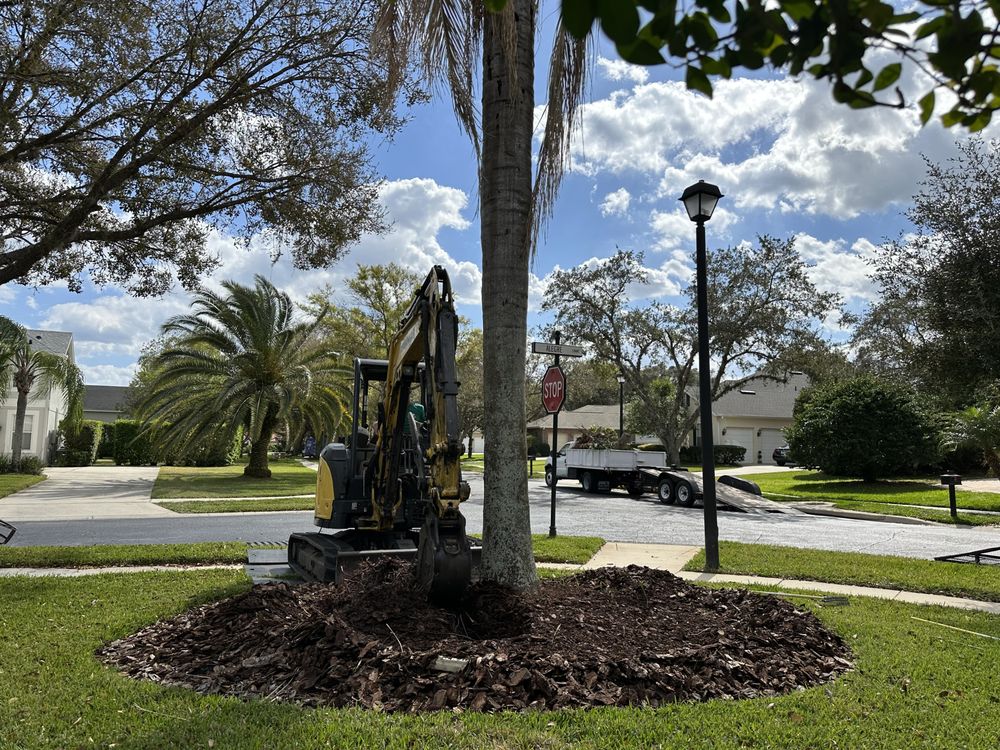 Groskey’s Tree Service