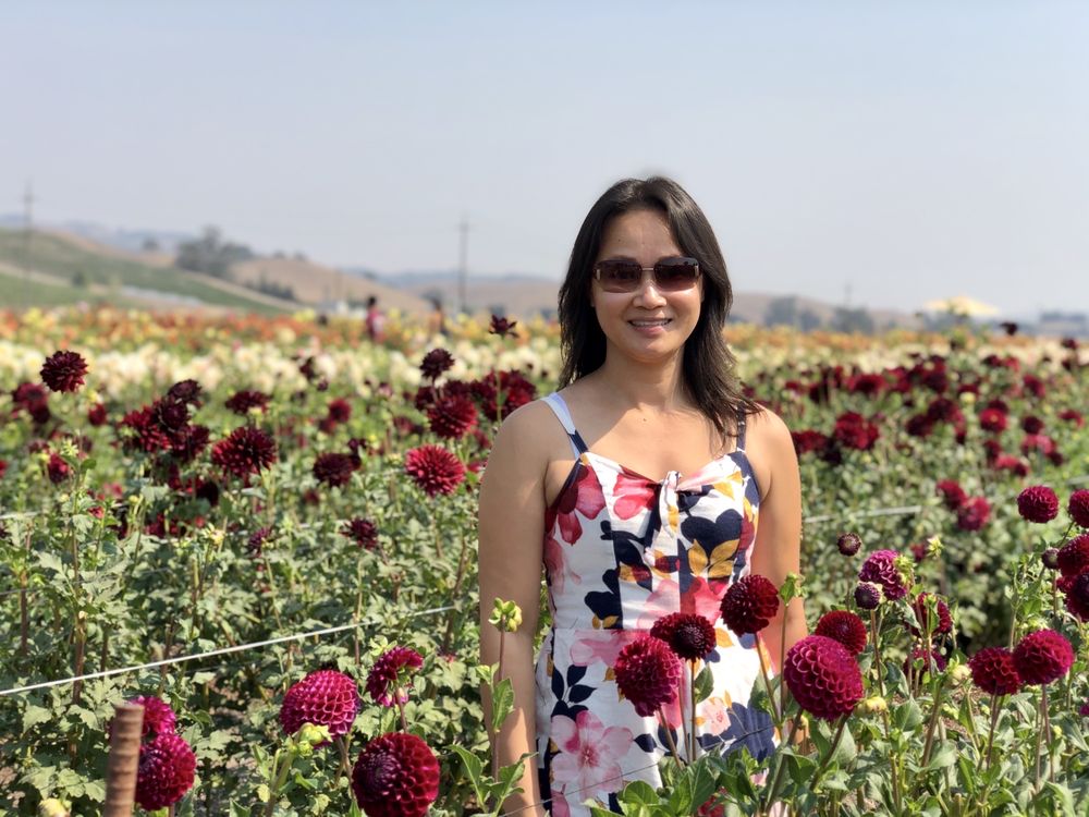 Happy Dahlia Farm