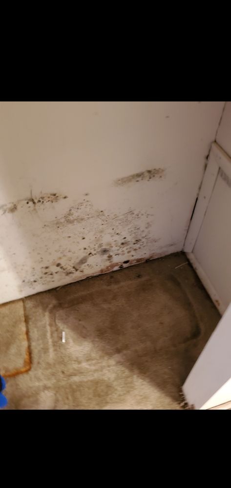 Pennsbury Woods Apartments