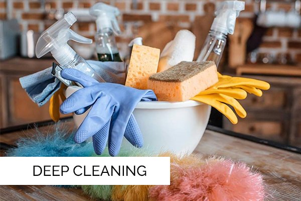 Bippity Boppity Boo Cleaning Services