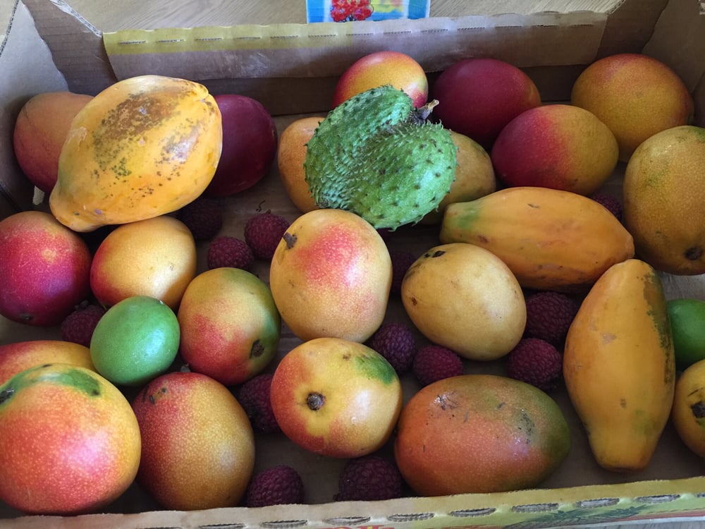 Kauai Culinary Market 25 Photos Farmers Market 4425 Ala