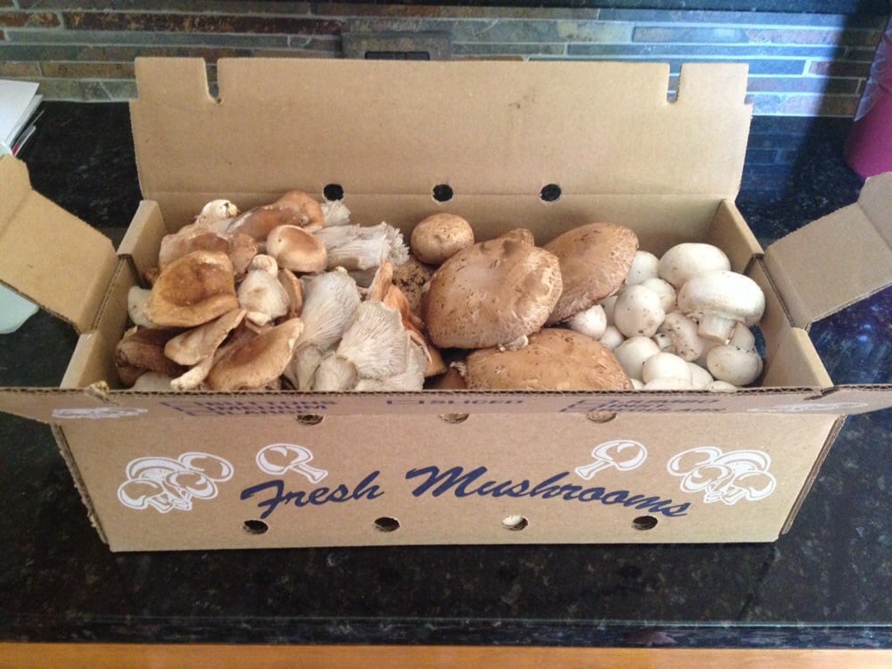 Cutone Mario Mushrooms Fruits & Veggies Avondale, PA Phone Number