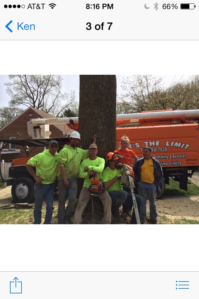 Skys The Limit Tree Services