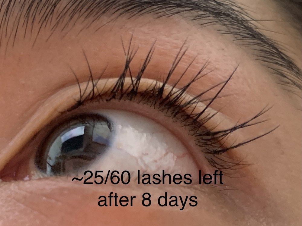 MYNC Lash Lounge and Brow Bar