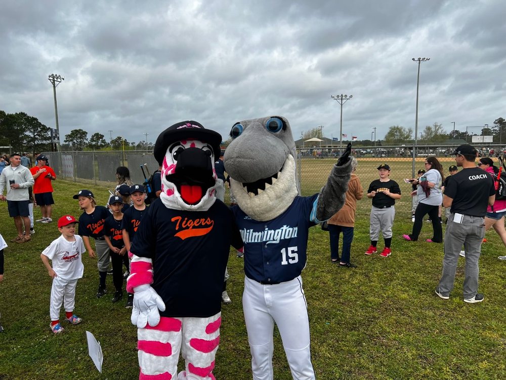 Pink Zebra Moving - Wilmington