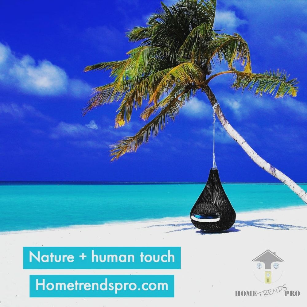 image of business HomeTrends Pro