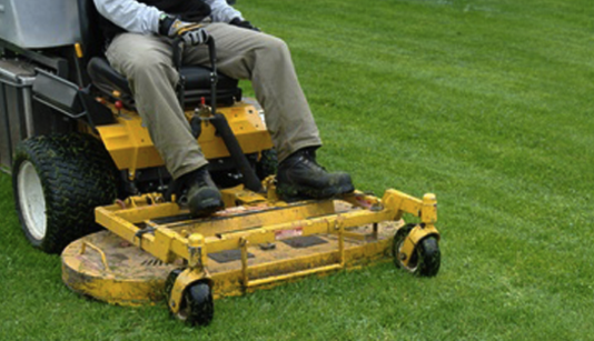 Gallagher Tree Service and Landscape Contracting