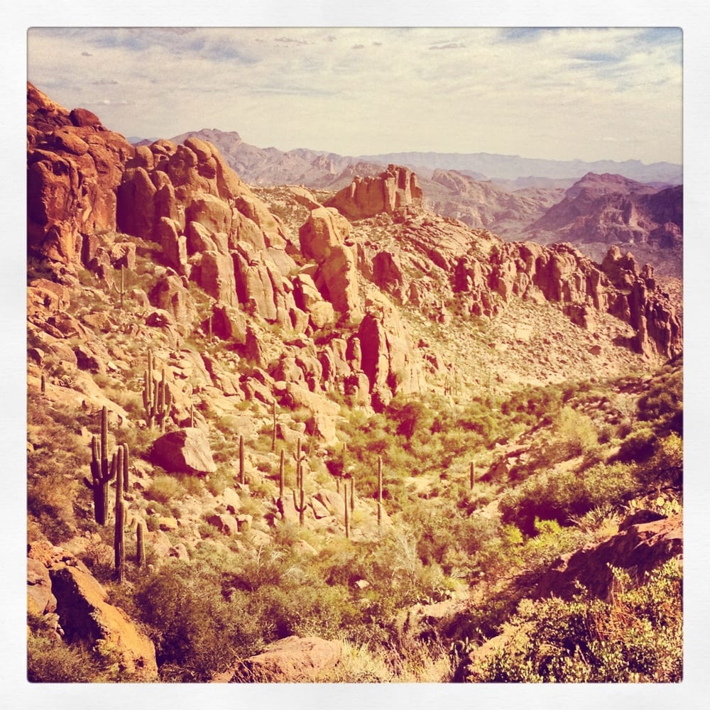 Peralta Trails 33 Photos & 10 Reviews Hiking Peralta Rd, Gold