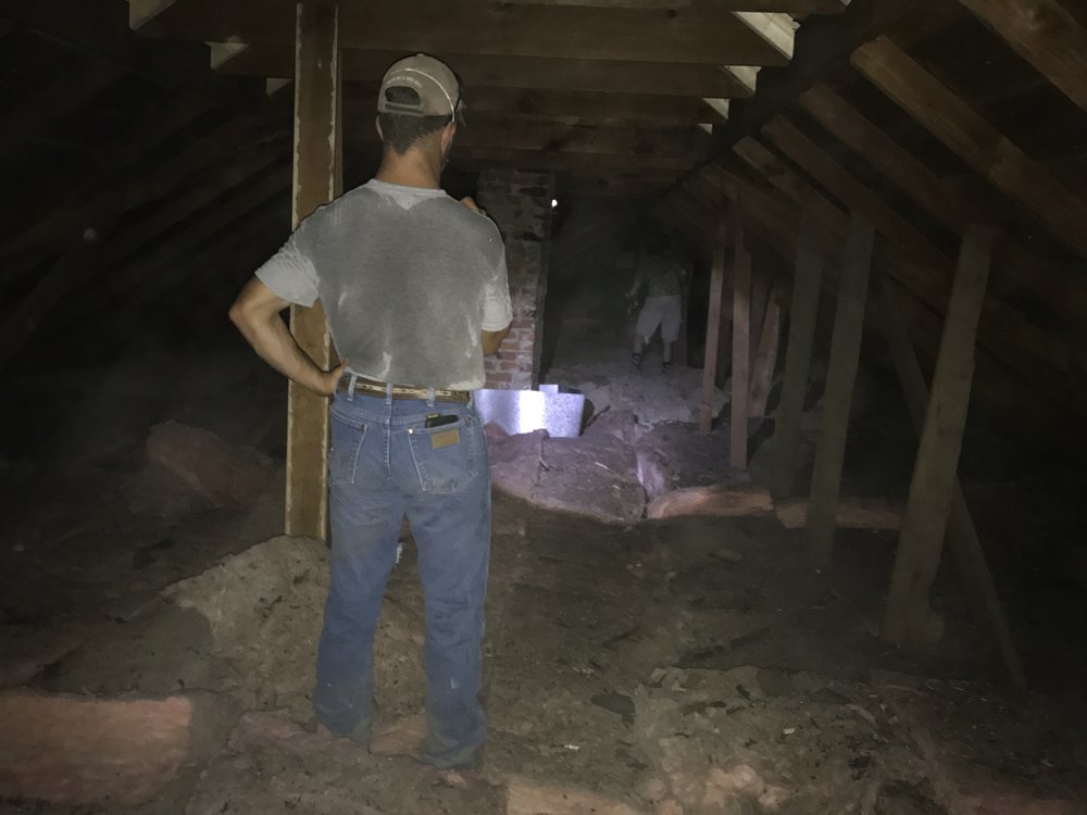 Borland Wildlife Solutions