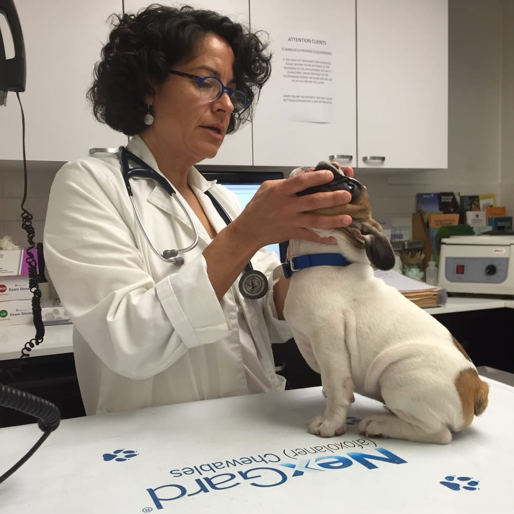 St. Marks Veterinary Hospital 12 Photos & 113 Reviews Veterinarians