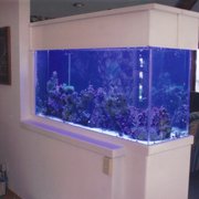 Amazing Aquariums 26 Photos Aquarium Services 2330 S Nova Rd Photo Of Amazing Aquariums Daytona Beach Fl United States