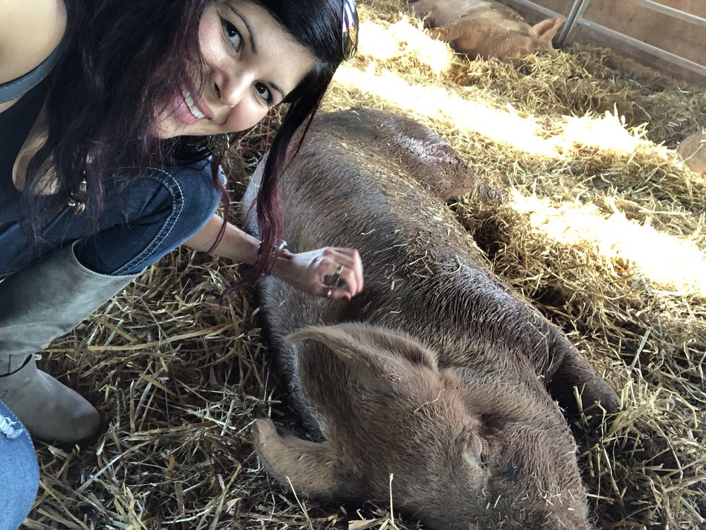 Poplar Spring Animal Sanctuary