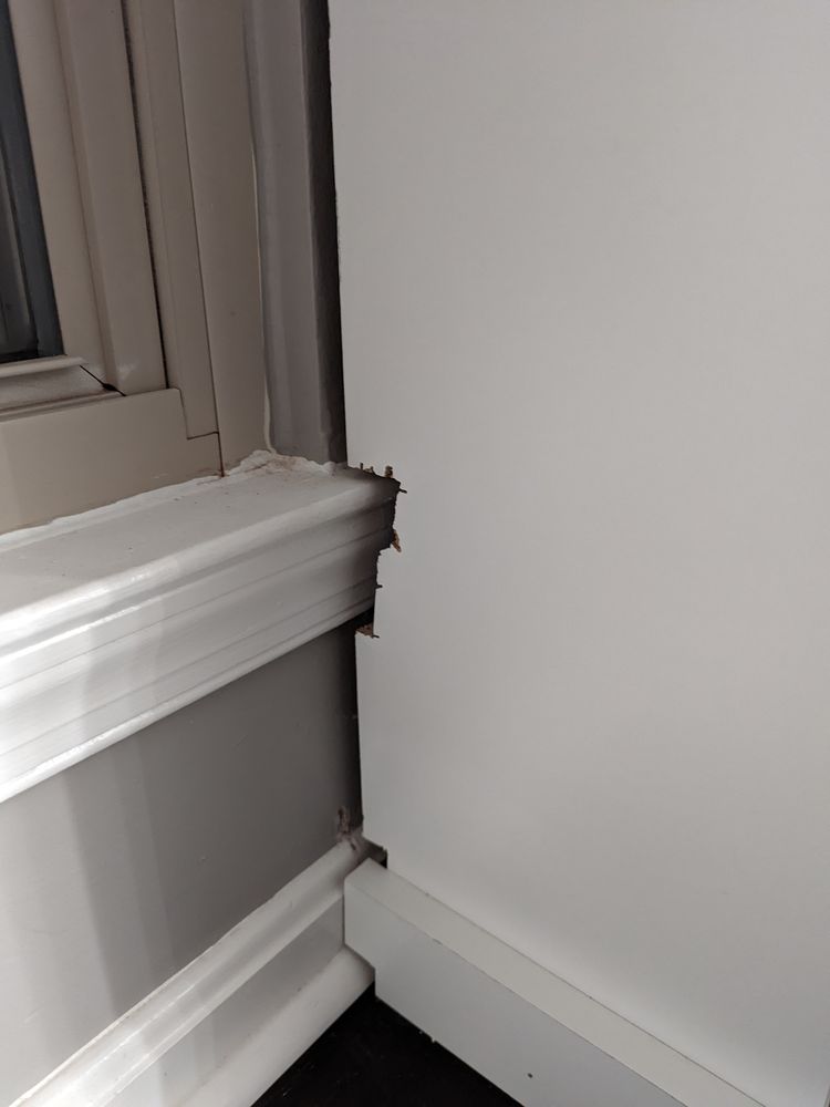 image of business Closets Best Value