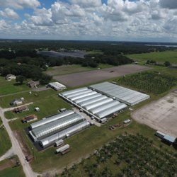 Farkas Citrus Nursery Nurseries Gardening 5701 W Rd Photo Of Farkas Citrus Nursery Plant City Fl United States