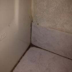 Kensington Inn 11 Photos Hotels 124 Holiday Ln Howell Mi Photo Of Kensington Inn Howell Mi United States Bathroom Floor Corner Crud