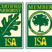 St Vrain Arbor Care Tree Services 140 Longmont Co Tree Care