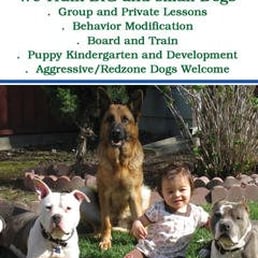 Trained Dogs For Sale Bay Area Trained Dogs For Sale Bay Area