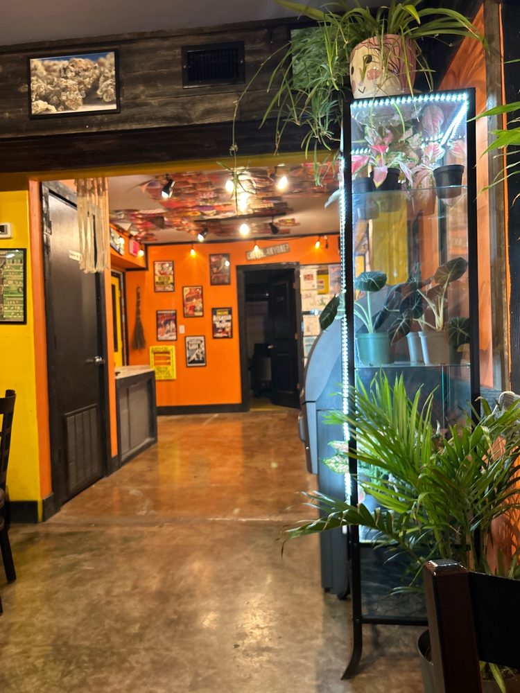 Lazydaze San Marcos