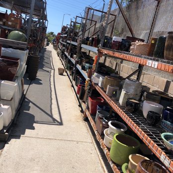 Green Thumb Nursery Ventura 76 Photos 86 Reviews Nurseries Photo Of Green Thumb Nursery Ventura Ca United States Tons