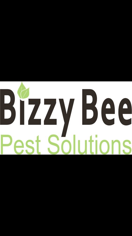 Bizzy Bee Pest Solutions