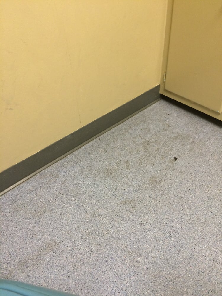 image of business Anderson G Bret Dntst