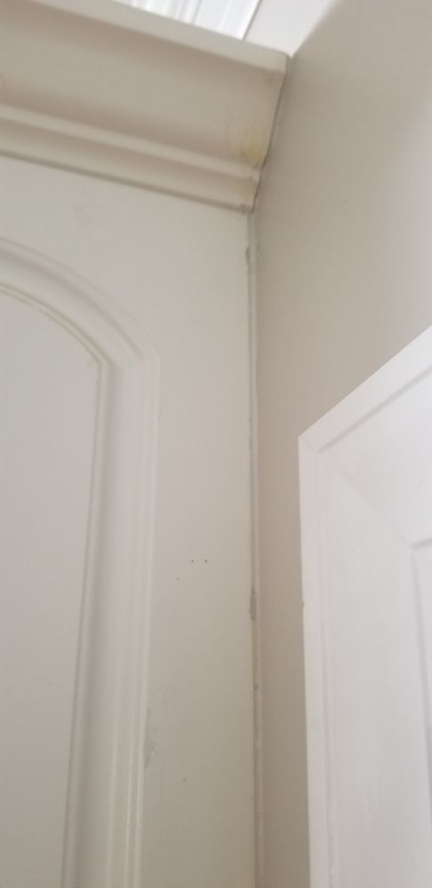 image of business P&P and Son