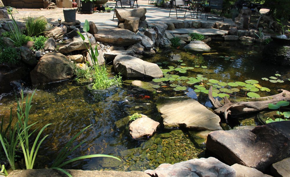 Springer Ponds and Water Gardens