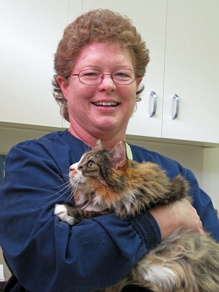 Tucson Small Animal Hospital Pets 22 S Kolb Rd, Tucson, AZ Phone